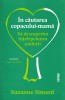 In cautarea copacului-mama - Suzanne Simard