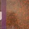 DICTIONAR LATIN-ROMAN COMPLECT PENTRU LICEE, SEMINARII SI UNIVERSITATI-IOAN NADEJDE SI AMELIA NADEJDE GESTICONE