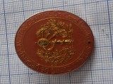 insigna spitalul militar bucuresti