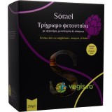 Paste Fettuccine cu Anghinare, Mustar si Boia 250g