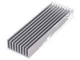 Radiator extrudat cu aripioare naturale 100mm x 33mm brut
