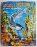Atlasul pestilor din apele R. S. Romania &ndash; Th. Busnita, Carte Zoologie Ichtiologie