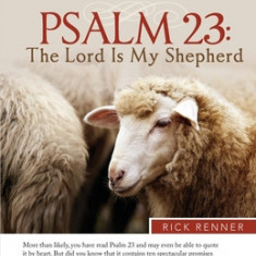 Psalm 23: The Lord Is My Shepherd Study Guide