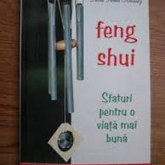 FENG SHUI, SFATURI PENTRU O VIATA MAI BUNA - DAVID DANIEL KENNEDY