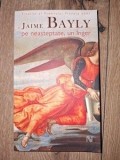 Pe neasteptate, un inger- Jaime Bayly