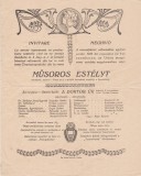 Invitatie Invitare Serata cu productiune teatrala Toplita Urania 1924 bilingv