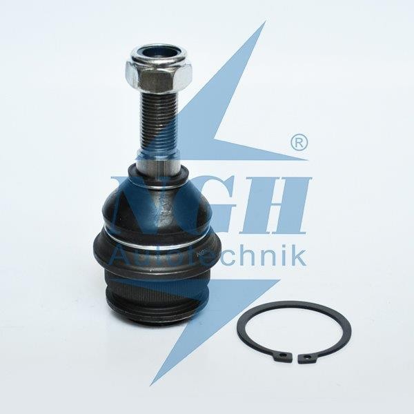 Pivot Suspensie 42043 NGH 01.05.007