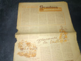 REVISTA SCANTEIA PIONIERULUI 28 IULIE 1960