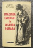 Andrei Oișteanu - Imaginea evreului &icirc;n cultura rom&acirc;nă (Humanitas, 2001)