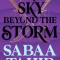 A Sky Beyond the Storm