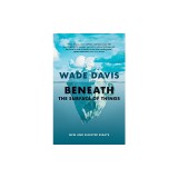 Beneath the Surface of Things: New and Selected Essays