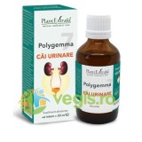Polygemma 7 (Cai Urinare) 50ml