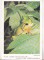 Foto  - 1