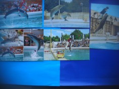 HOPCT LOT NR 591 DELFINARIU CONSTANTA-CT-5 CARTI POSTALE-RSR-NECIRCULATE