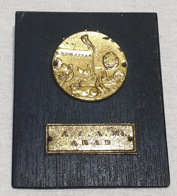 Medalia Expozitia Agricola Pasari &amp;amp; Animale mici - Epoca de Aur - ARAD foto