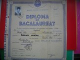 HOPCT DOCUMENT NR 576 DIPLOMA DE BACALAUREAT -HORTICULTURA- LICEUL POARTA ALBA -JUD CONSTANTA-CT-1975 RSR