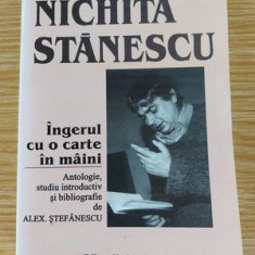 Nichita Stanescu: Ingerul cu o carte in maini- Alex. Stefanescu