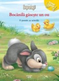 Cumpara ieftin Bocanila gaseste un ou. O poveste cu activitati. Iepurasi/***