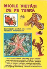 MICILE VIETATI DE PE TERRA-ANTOLOGIE DE BORIS CRACIUN-278348 foto