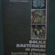 Gheorghe Marinescu - Bolile bacteriene ale plantelor legumicole si floricole