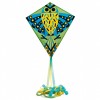 Zmeu Hiboo Djeco Multicolor 60x70 cm, +5 ani, Usor de manevrat, Zmeu pentru copii, Fete si Baieti