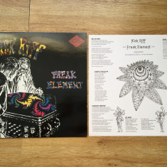 NICK RIFF - FREAK ELEMENT (1992,DELERIUM,UK) Psychedelic Rock vinil vinyl