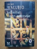 Infinitul intr-o trestie - Irene Vallejo, Ed. Pandora M, 2022, Roman, 624 pagini - Stare impecabila