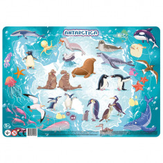 Puzzle cu rama - Antarctica (53 piese) foto