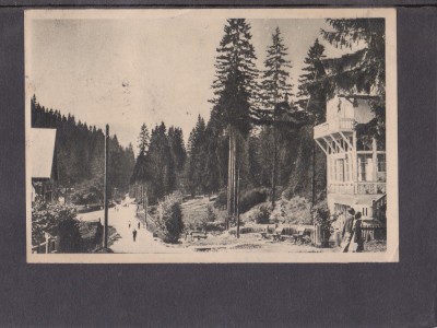QW23 B - Carte postala - tematica turism - vedere - Romania - Borsec 24 foto