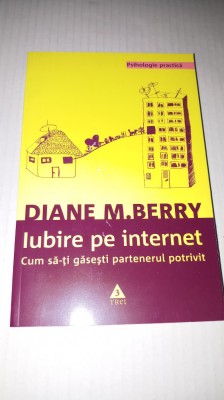 Diane M. Berry - Iubire pe internet foto