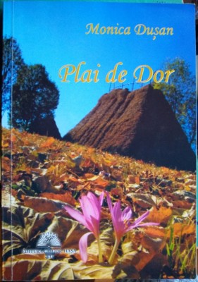 Plai de dor foto