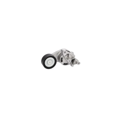 Intinzator curea AUDI A3 8P1 BTA E2W0026BTA foto