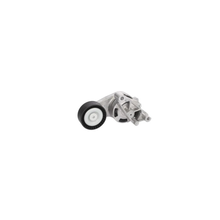 Intinzator curea VW PASSAT Variant 3C5 BTA E2W0026BTA