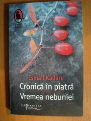 CRONICA IN PIATRA , VREMEA NEBUNIEI de ISMAIL KADARE , 2022 foto