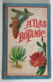 ATLAS BOTANIC , 1930 , 586 GRAVURI IN CULORI , 42 PLANSE