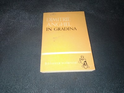 DIMITRIE ANGHEL - IN GRADINA foto