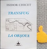 Transfug la Orsova Isidor Chicet