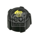 Buson vas expansiune Febi Bilstein 22085