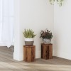 Set 2 Suporturi Plante Gossi Lemn Prelucrat 10x10x18cm Lemn Vechi Interior Robust Usor Curatat Design Atemporal