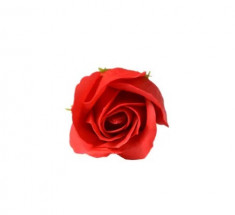 Trandafir de sapun rosu foto