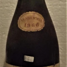 A14- VIN sangiovese di romagna, recoltare 1966 cl 72 gr 12,5