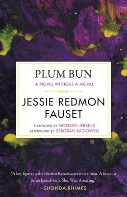Plum Bun: A Novel Without a Moral foto