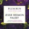 Plum Bun: A Novel Without a Moral