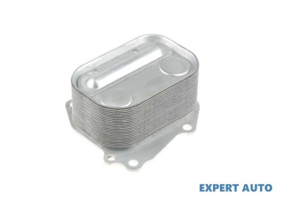 Radiator ulei BMW Seria 5 (2010-&amp;gt;) [F11] #1 foto