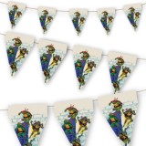 Set stegulete Teenage Mutant Ninja Turtle