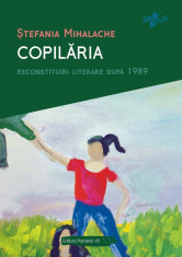 Copilaria. Reconstituiri literare dupa 1989 - Stefania Mihalache foto