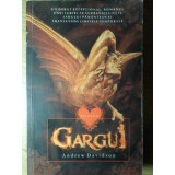 GARGUI-ANDREW DAVIDSON-223058