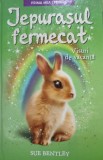 Sue Bentley - Iepurasul fermecat - Visuri de vacanta (Editia: 2017)