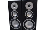 Boxe Magnat Motion 880