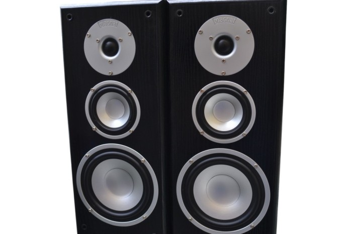 Boxe Magnat Motion 880